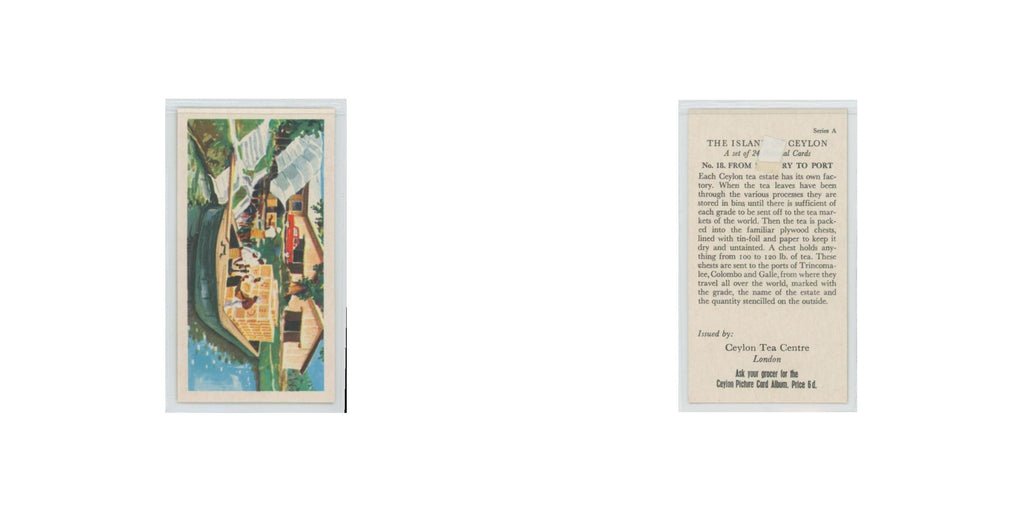 1955 Ceylon Tea Island of Ceylon From Factory to Port #18.0