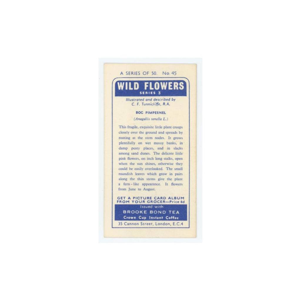 1964 Booke Bond Wild Flowers Series 3 Bog Pimpernel #45.0