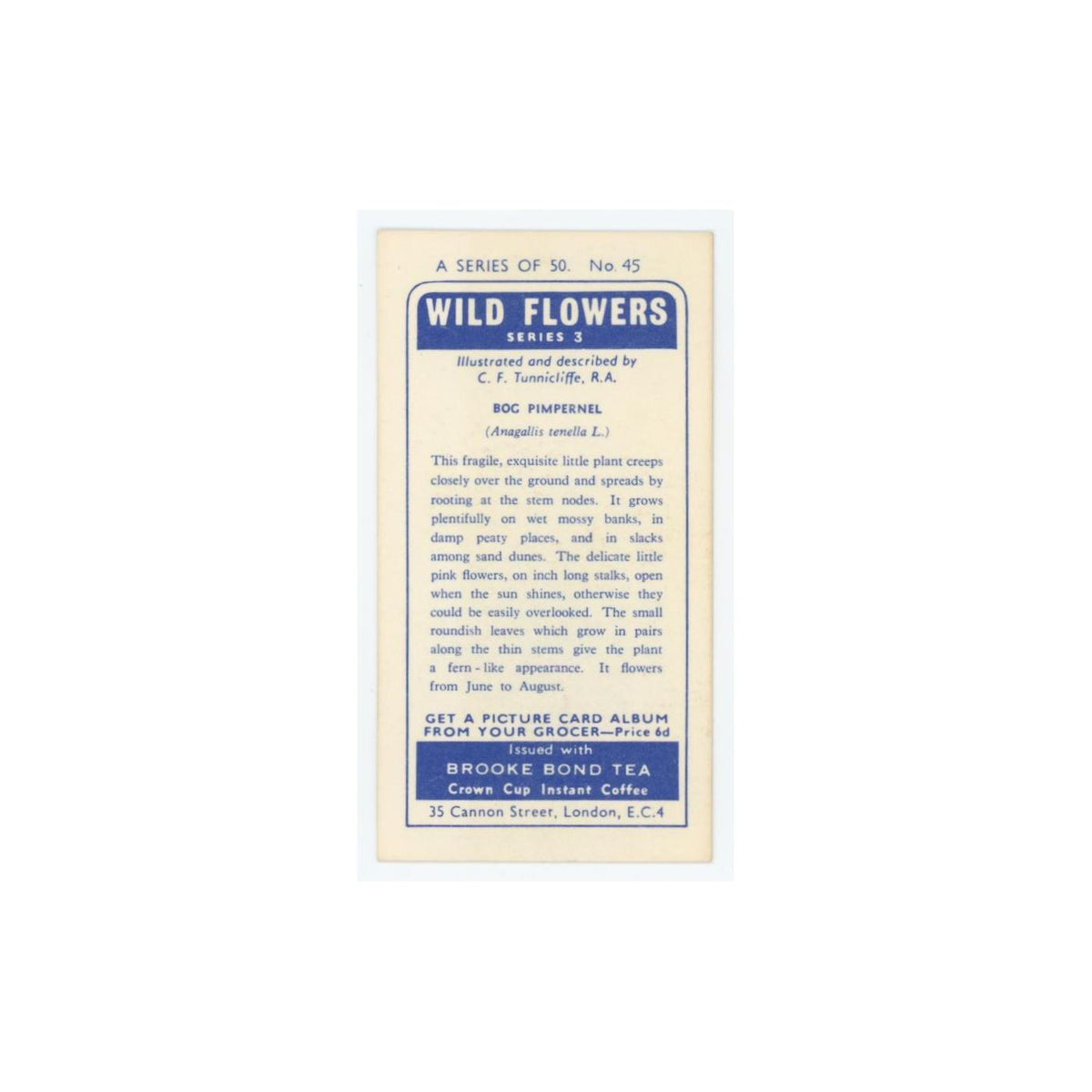 1964 Booke Bond Wild Flowers Series 3 Bog Pimpernel #45.0