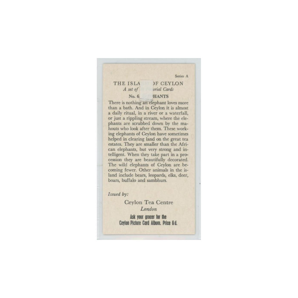 1955 Ceylon Tea Island of Ceylon Elephants #6.0