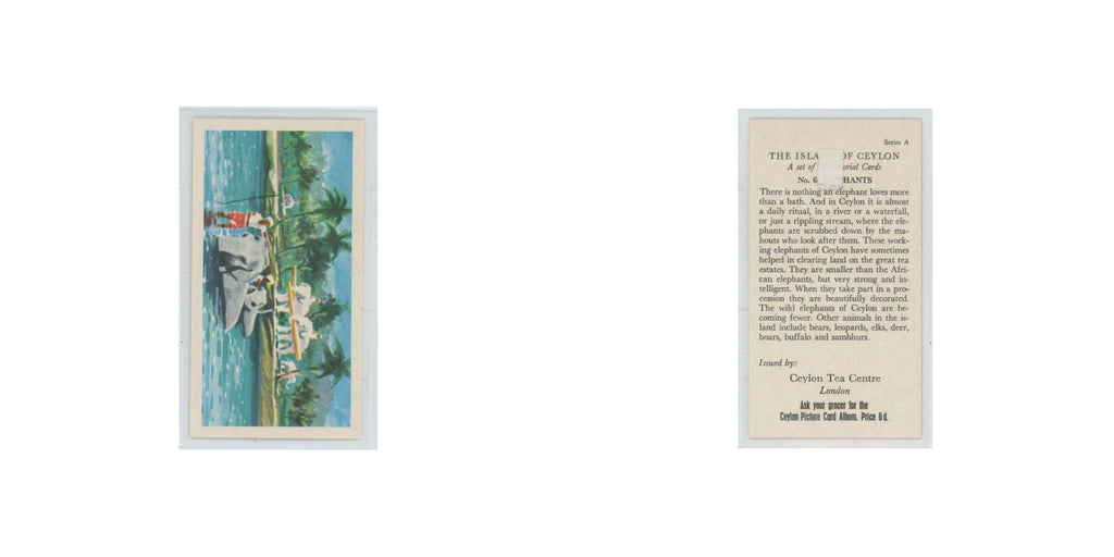 1955 Ceylon Tea Island of Ceylon Elephants #6.0