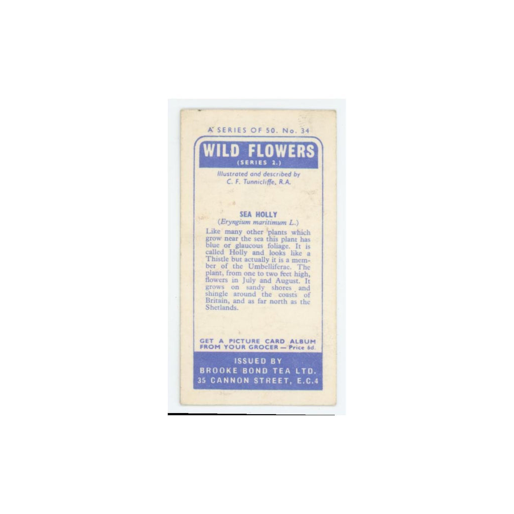 1959 Brooke Bond Wild Flowers Series 2 Sea Holly #34.0