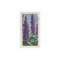 1959 Brooke Bond Wild Flowers Series 2 Purple Loosestrife #49.0