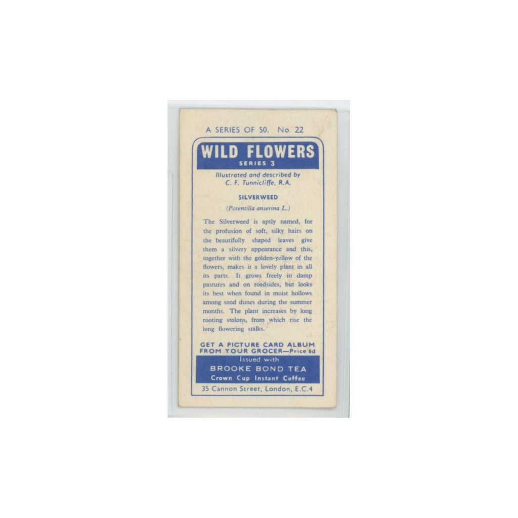 1964 Booke Bond Wild Flowers Series 3 Silverweed #22.0
