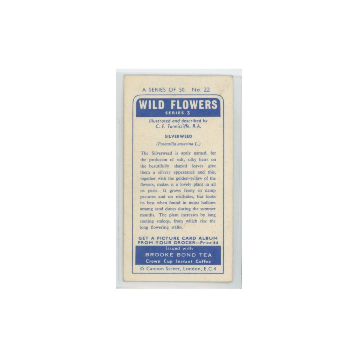 1964 Booke Bond Wild Flowers Series 3 Silverweed #22.0