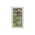1964 Booke Bond Wild Flowers Series 3 Greater Celandine #15.0