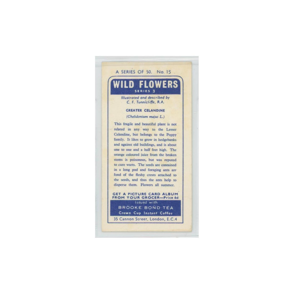 1964 Booke Bond Wild Flowers Series 3 Greater Celandine #15.0