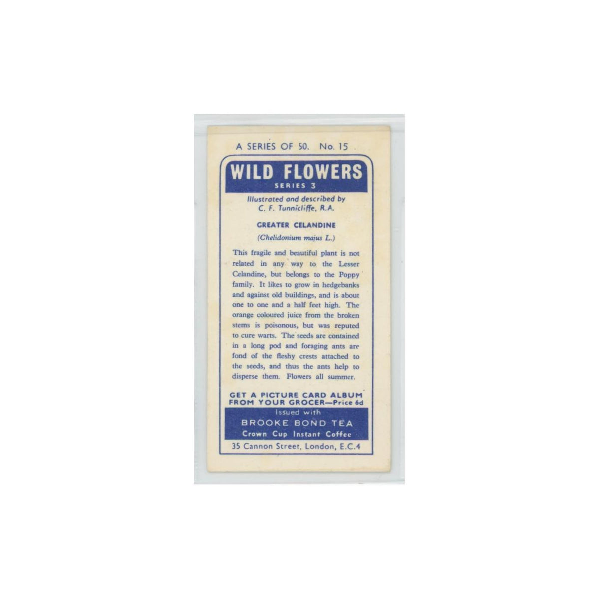 1964 Booke Bond Wild Flowers Series 3 Greater Celandine #15.0
