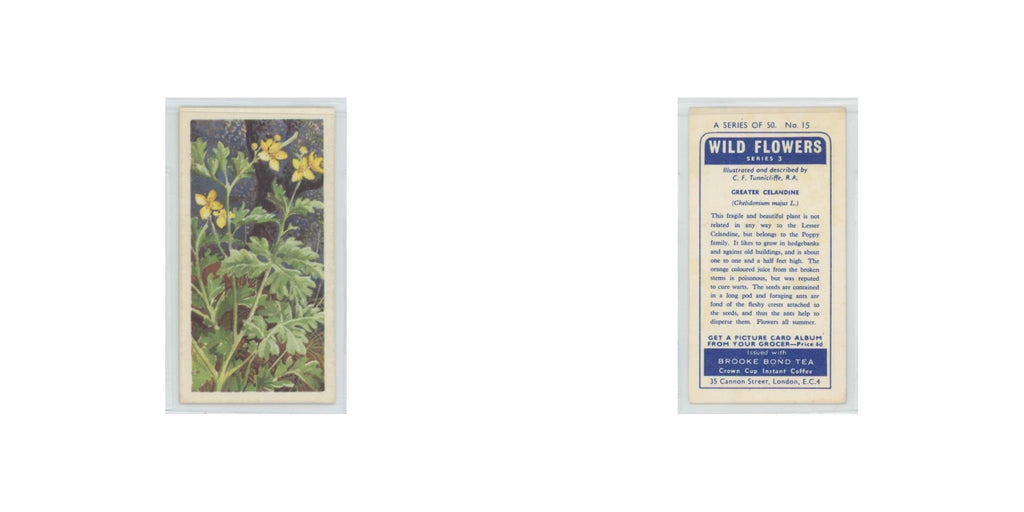 1964 Booke Bond Wild Flowers Series 3 Greater Celandine #15.0