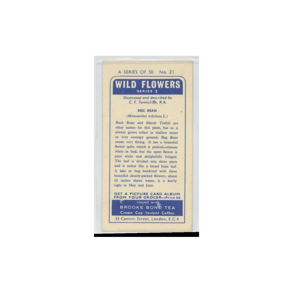 1964 Booke Bond Wild Flowers Series 3 Bog Bean #21.0