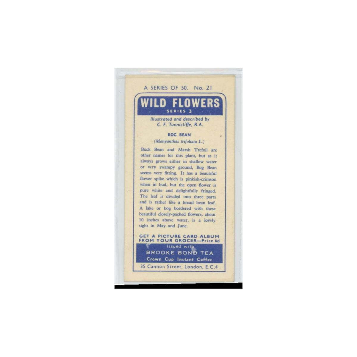1964 Booke Bond Wild Flowers Series 3 Bog Bean #21.0