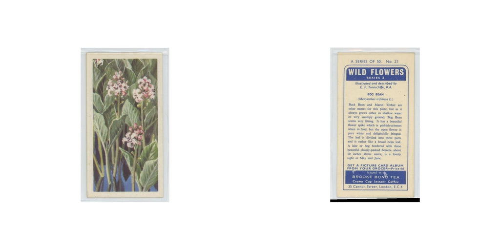 1964 Booke Bond Wild Flowers Series 3 Bog Bean #21.0
