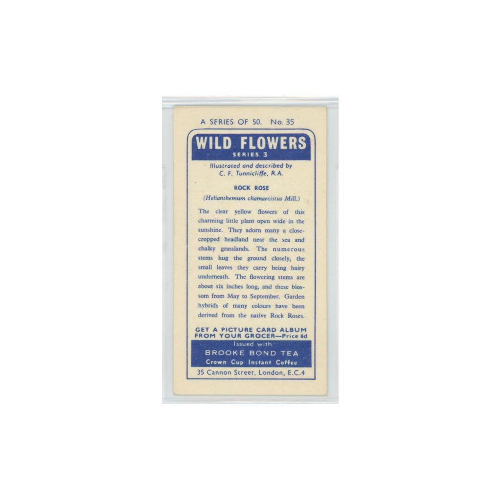 1964 Booke Bond Wild Flowers Series 3 Rock Rose #35.0