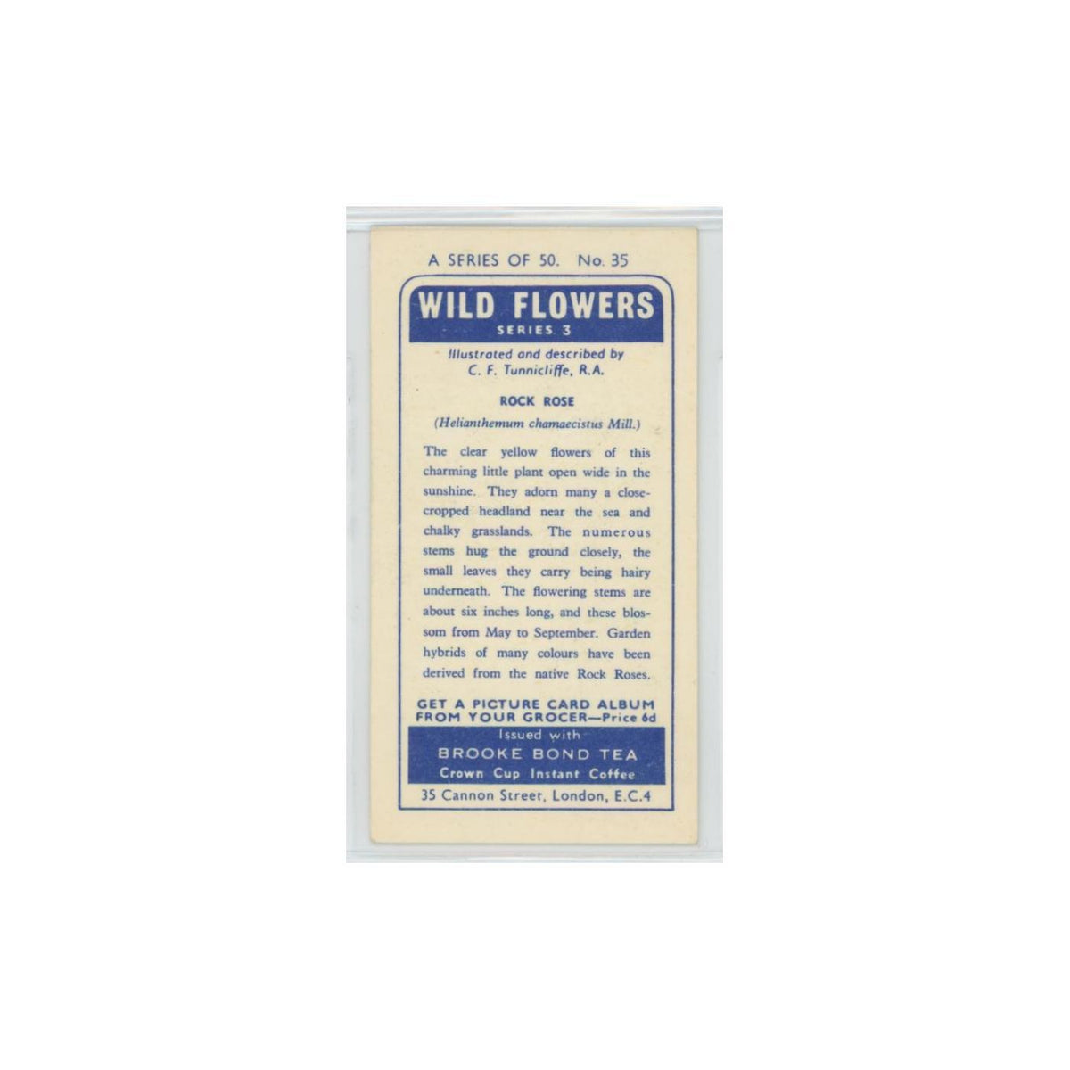 1964 Booke Bond Wild Flowers Series 3 Rock Rose #35.0