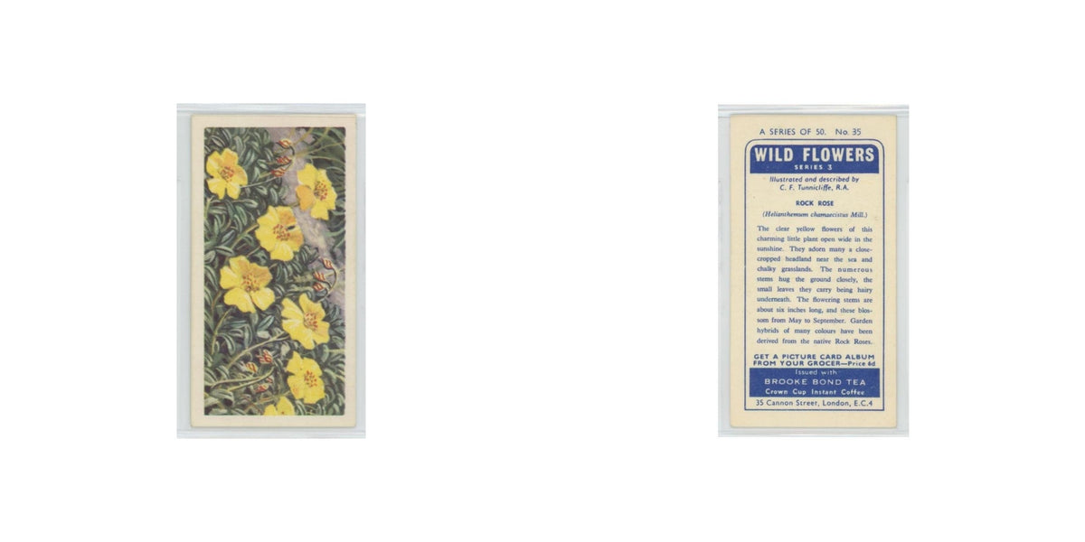 1964 Booke Bond Wild Flowers Series 3 Rock Rose #35.0