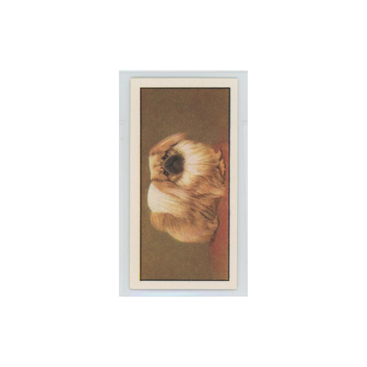 1961 Barbers Teas Dogs Pekingese #3.0