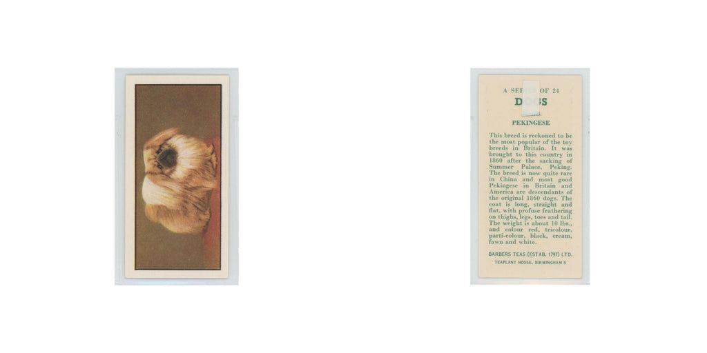 1961 Barbers Teas Dogs Pekingese #3.0