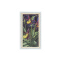 1964 Booke Bond Wild Flowers Series 3 Lady's Slipper Orchid #20.0