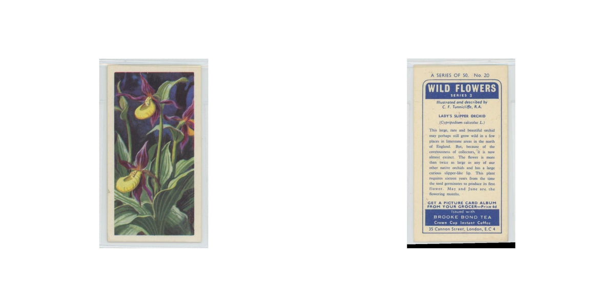 1964 Booke Bond Wild Flowers Series 3 Lady's Slipper Orchid #20.0