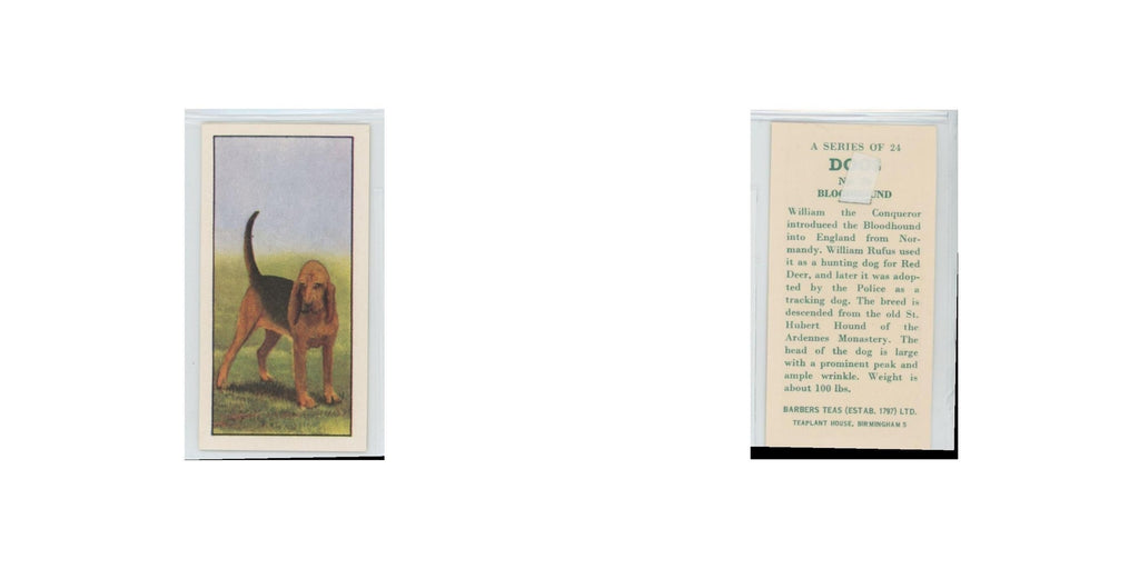 1961 Barbers Teas Dogs Bloodhound #nan