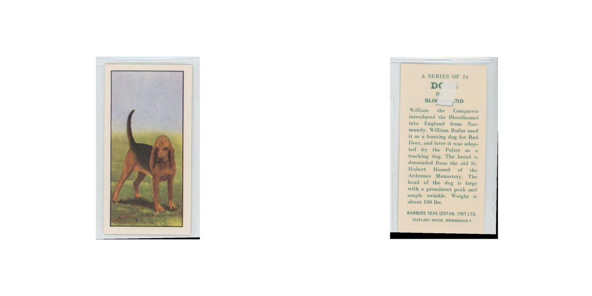 1961 Barbers Teas Dogs Bloodhound #nan