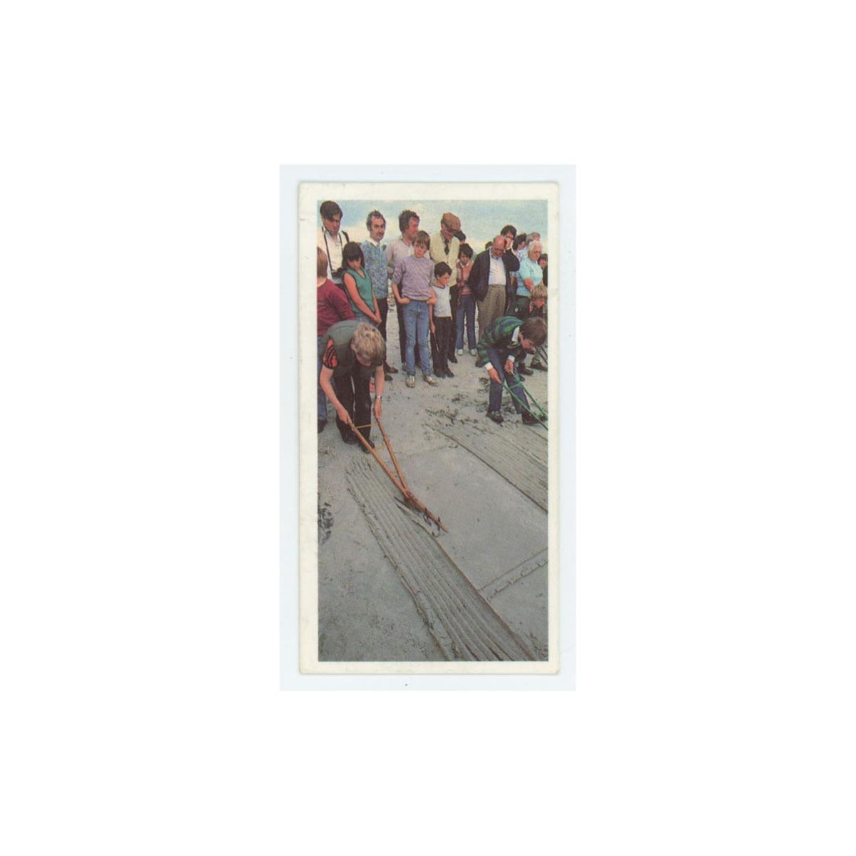 1989 Brooke Bond Discovering Our Coast Boy Ploughmen St Margarets Hope #6