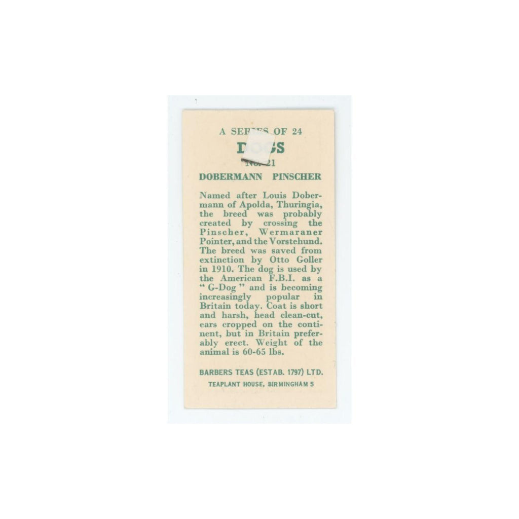 1961 Barbers Teas Dogs Dobermann Pinscher #21