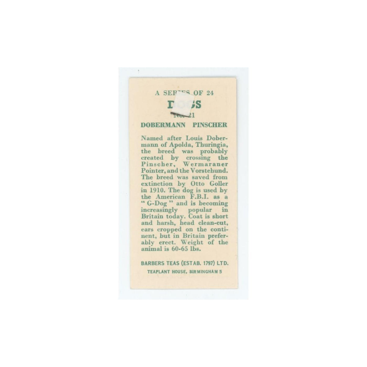 1961 Barbers Teas Dogs Dobermann Pinscher #21