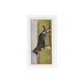 1961 Barbers Teas Dogs Alsatian #16
