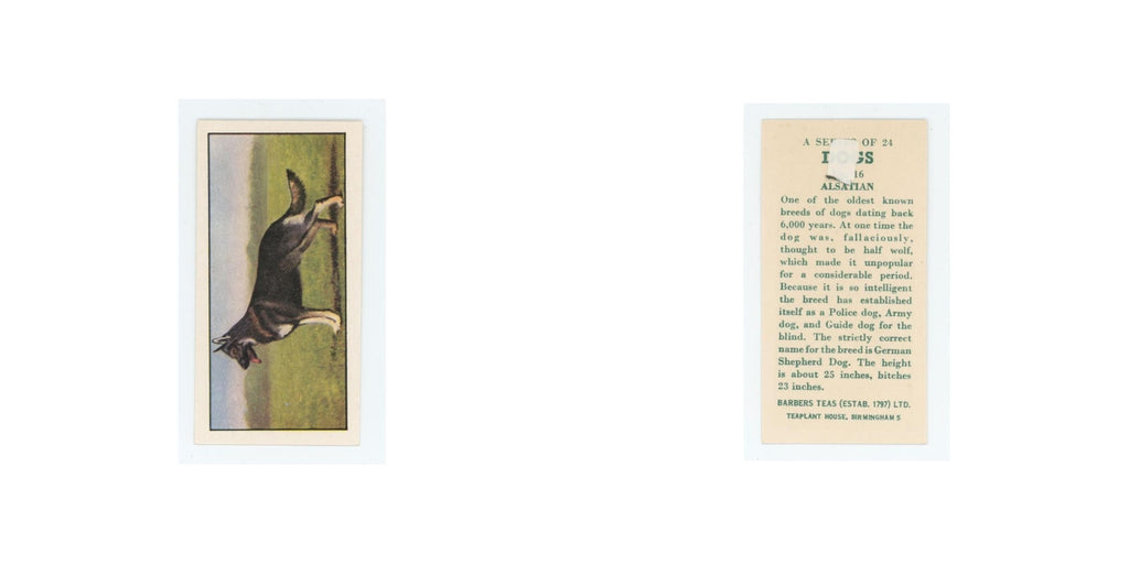 1961 Barbers Teas Dogs Alsatian #16