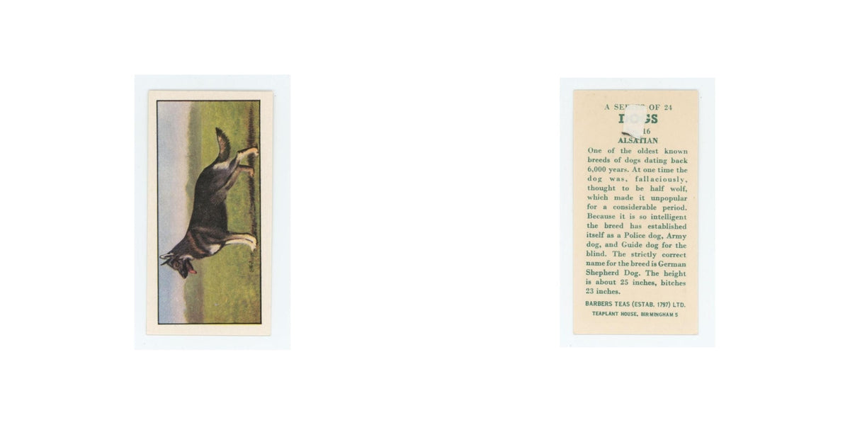 1961 Barbers Teas Dogs Alsatian #16