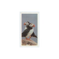 1989 Brooke Bond Discovering Our Coast Lundy #37