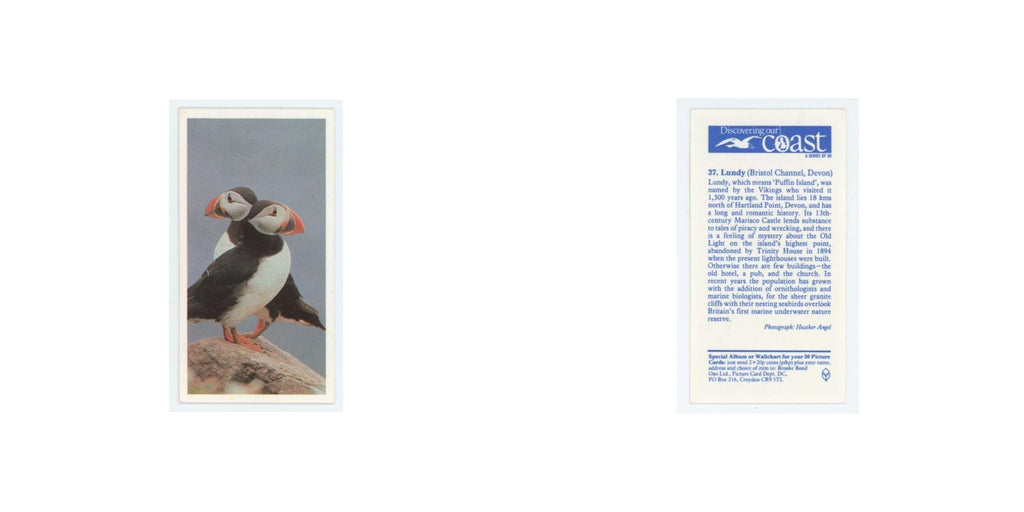 1989 Brooke Bond Discovering Our Coast Lundy #37