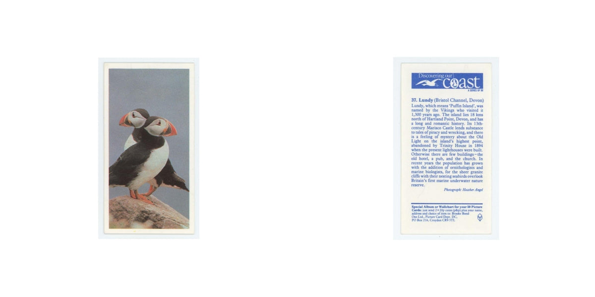 1989 Brooke Bond Discovering Our Coast Lundy #37