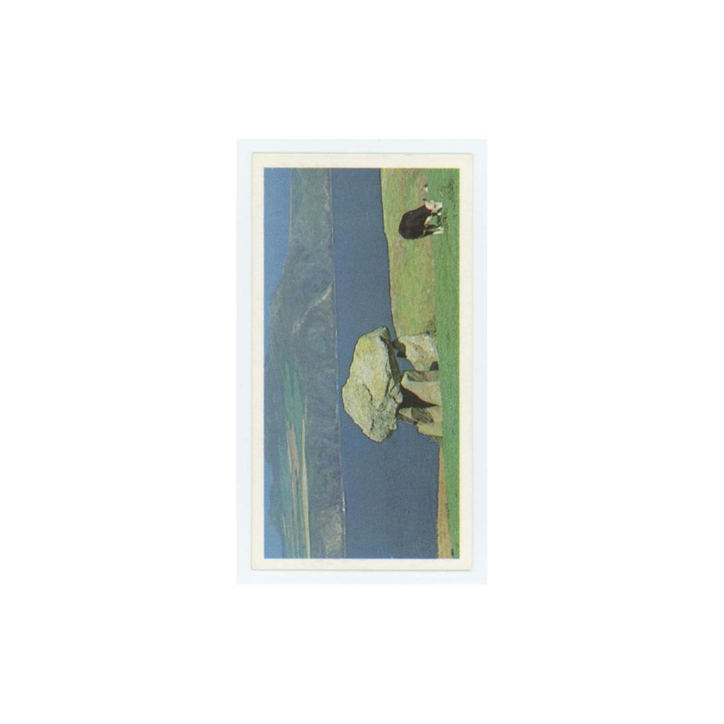 1989 Brooke Bond Discovering Our Coast Carreg Samson #42