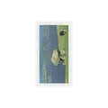 1989 Brooke Bond Discovering Our Coast Carreg Samson #42