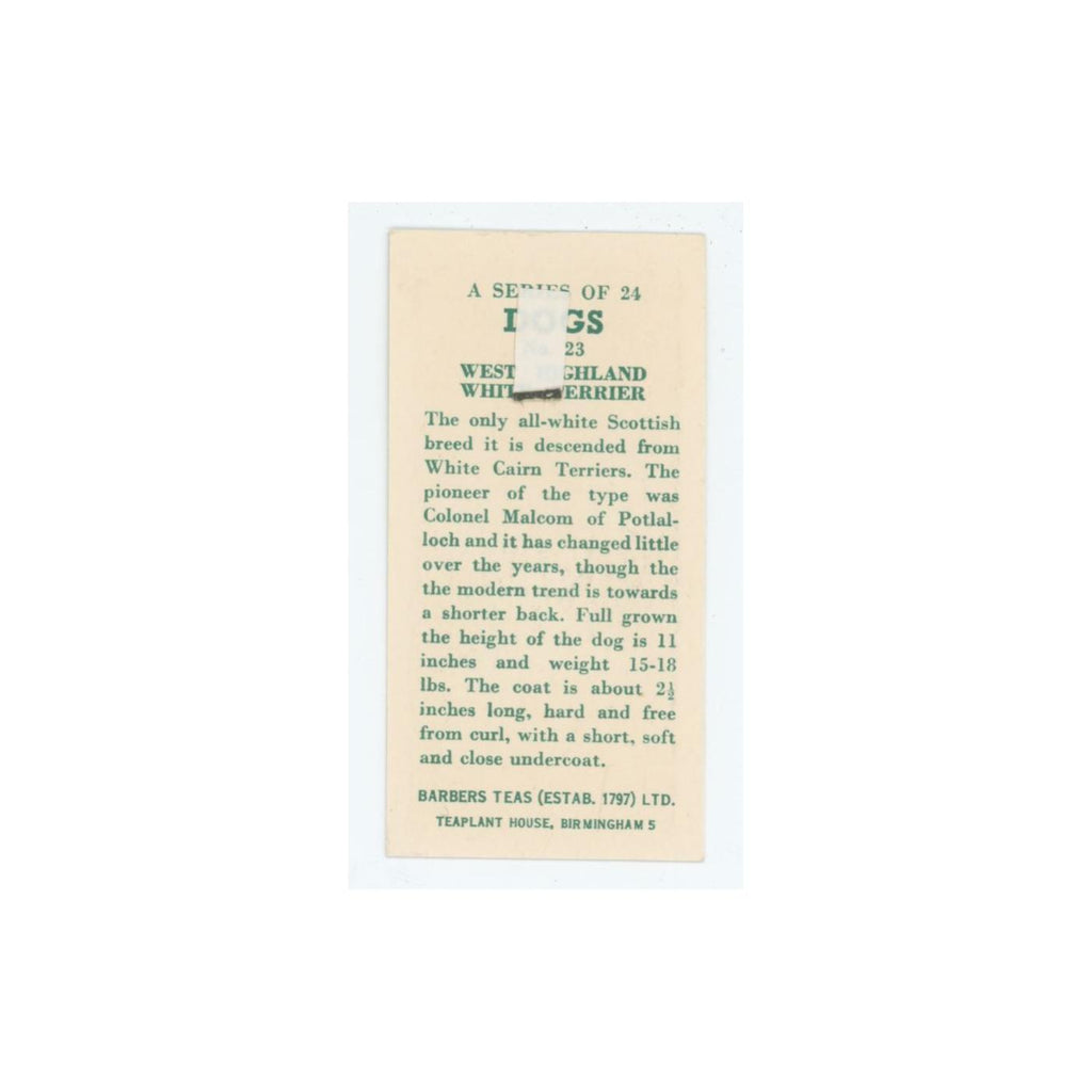 1961 Barbers Teas Dogs West Highland White Terrier #23