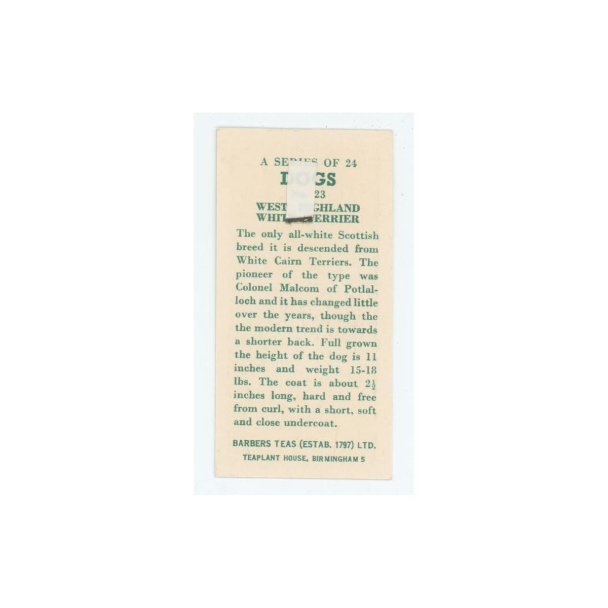1961 Barbers Teas Dogs West Highland White Terrier #23
