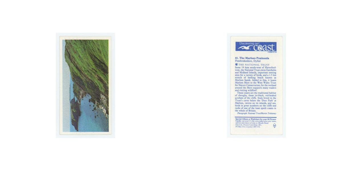 1989 Brooke Bond Discovering Our Coast Marloes Peninsula #41