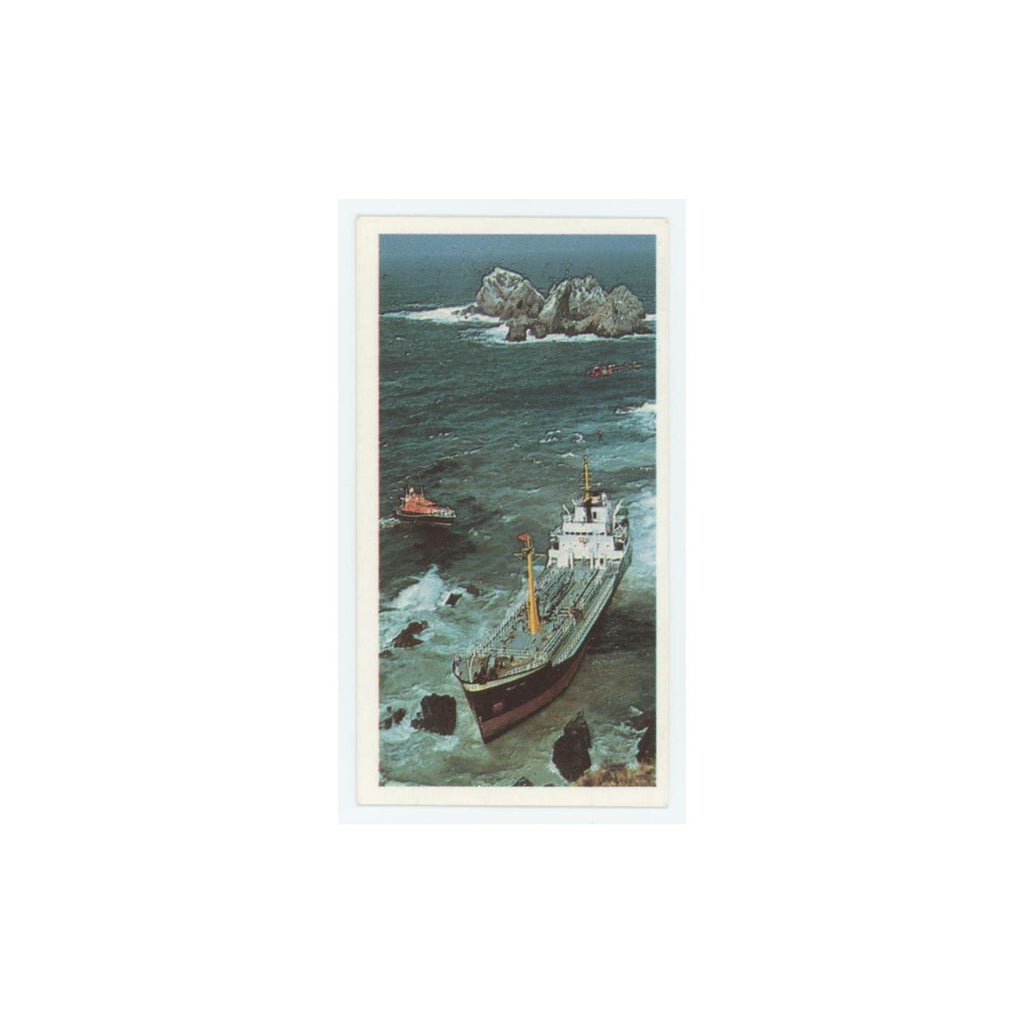 1989 Brooke Bond Discovering Our Coast Point Law Rescue #24
