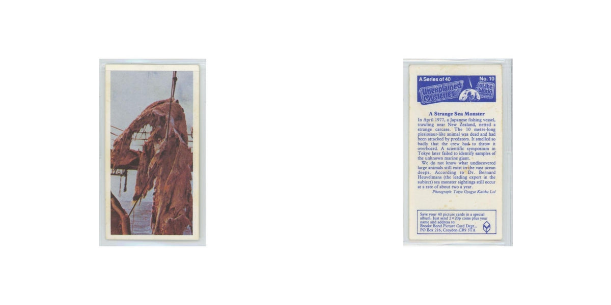 1987 Brooke Bond Unexplained Mysteries Strange Sea Monster #10