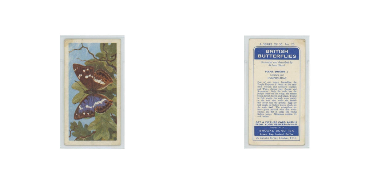 1963 Brooke Bond British Butterflies Purple Emporer #26