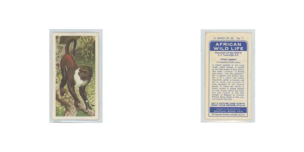 1962 Brooke Bond African Wildlife Syke's Monkey #7