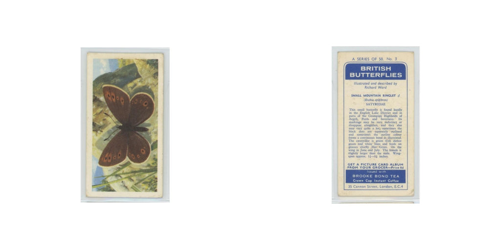 1963 Brooke Bond British Butterflies Small Mountain Ringlet #3