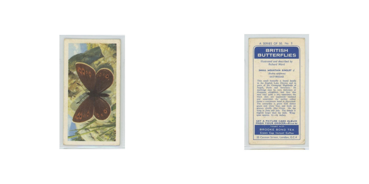 1963 Brooke Bond British Butterflies Small Mountain Ringlet #3