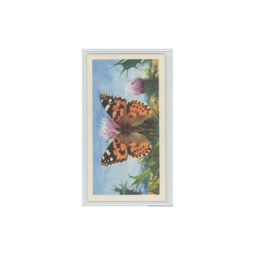1963 Brooke Bond British Butterflies Painted Lady #20