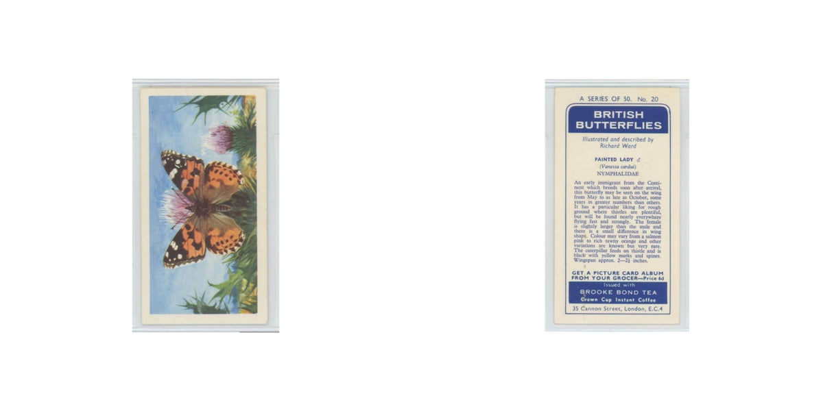 1963 Brooke Bond British Butterflies Painted Lady #20