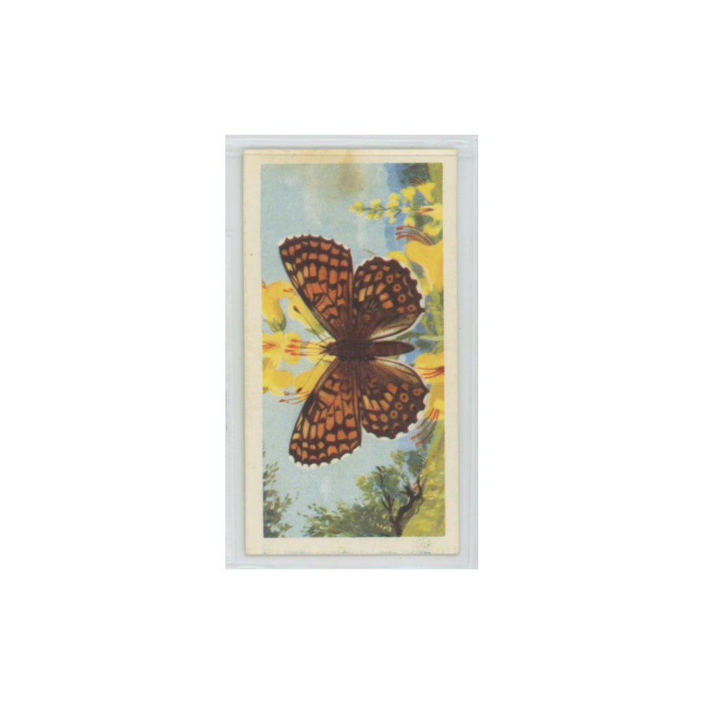 1963 Brooke Bond British Butterflies Glanville Fritillary #18