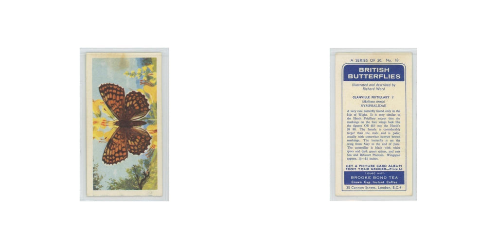 1963 Brooke Bond British Butterflies Glanville Fritillary #18