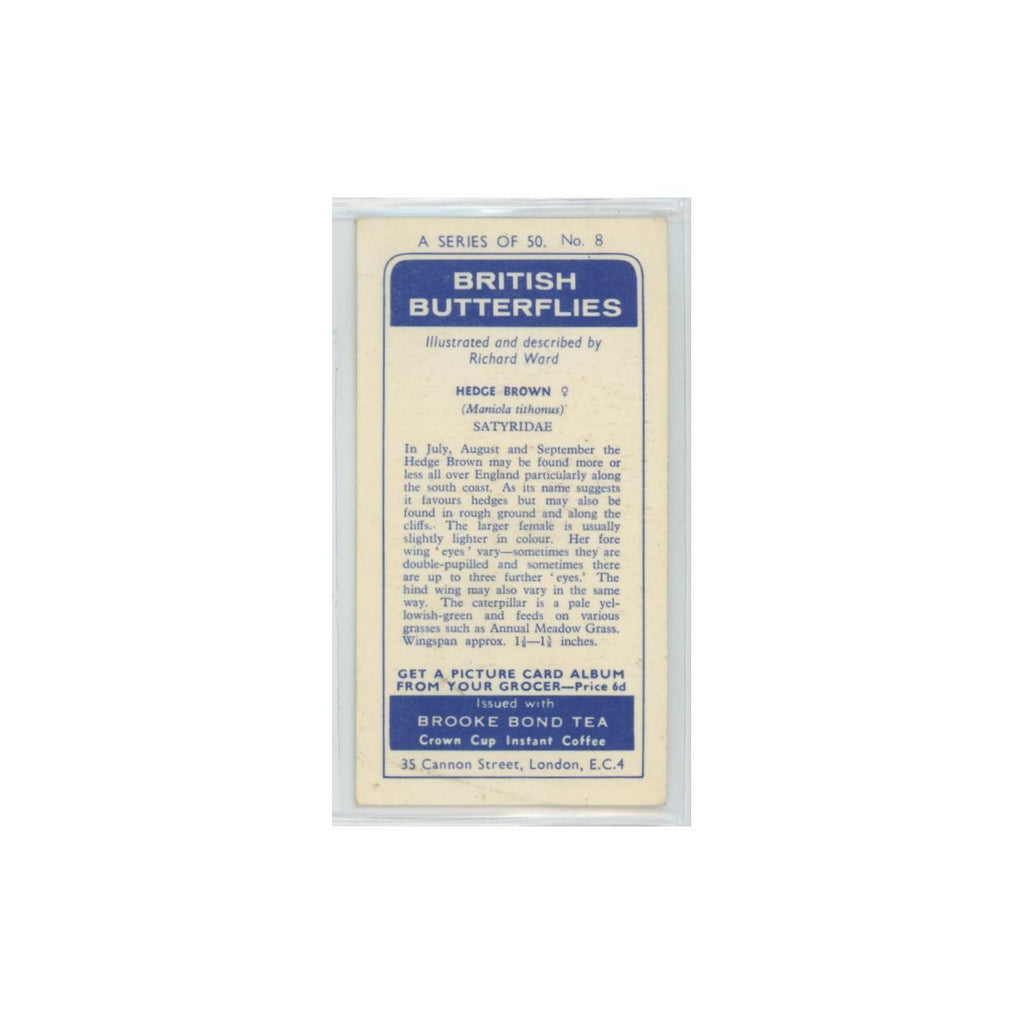 1963 Brooke Bond British Butterflies Hedge Brown #8